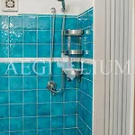 Giglio Azzurro 2 *